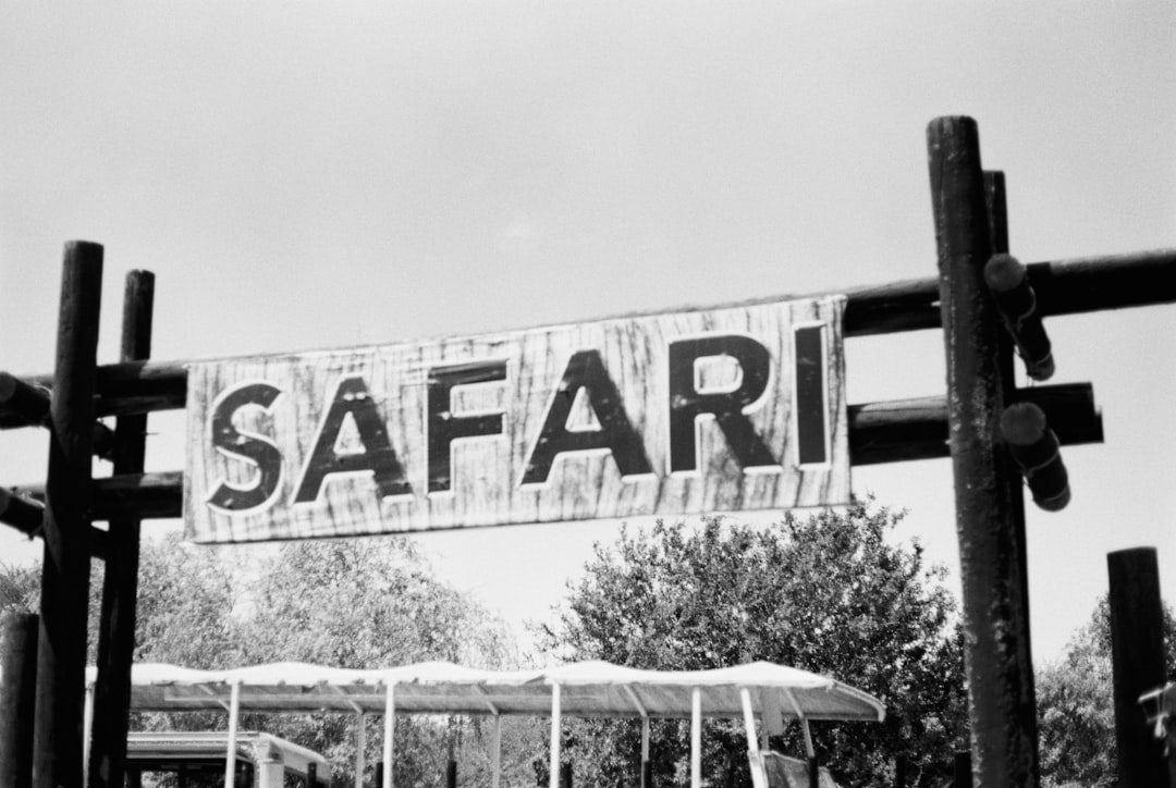 Marmaris At Safari: Eşsiz Bir Doğa Deneyimi